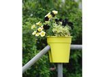 Blumentopf Flowerclip 3-er Set