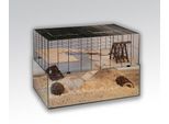 Skyline Nagarium Falco 100