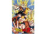 Reinders! Poster »Dragon Ball Z Goku«, (1 St.)