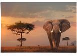 Reinders! Poster »Afrikas Wildtiere Elefant«, (1 St.)