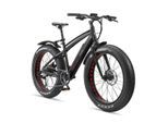 26 Zoll MTB Fatbike E-Bike Aufsteiger FM350