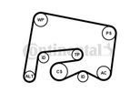 Continental Ctam Keilrippenriemensatz (6PK2155K1) für Mercedes-Benz E-Klasse CLS