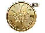 120 x 1/20 Unze Gold Maple Leaf 2022
