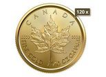 120 x 1/10 Unze Gold Maple Leaf 2024