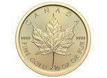 1/2 Unze Gold Maple Leaf 2024