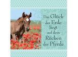 H&H Romantisches Geschirrtuch "Das Glück der Erde liegt auf dem Rücken der Pferde"