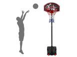 Basketballständer 165-205 cm