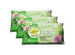 Secret Vert - Terreau pour cactées et plantes grasses 3kg (Lot de 3)