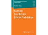 Konzepte für effiziente hybride Triebstränge - Andreas Haag, Kartoniert (TB)