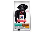 Hill's Science Plan Perfect Weight + Active Mobility Adult Large Breed mit Huhn 12kg 12 kg