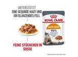 ROYAL CANIN Hair & Skin in Soße 12x85 g