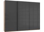 Schwebetürenschrank WIMEX "Level by fresh to go", grau (plankeneichefarben, grauglas), B:300cm H:236cm T:65cm, Schränke, Schwebetürenschrank, mit Glastüren