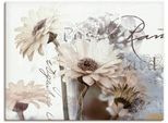 Artland Wandbild »Gerberas_Detail«, Blumenbilder, (1 St.), als Leinwandbild, Poster, Wandaufkleber in verschied. Grössen