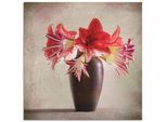 Artland Wandbild »Amaryllis Vintage II«, Blumen, (1 St.), als Alubild, Outdoorbild, Leinwandbild in verschied. Grössen