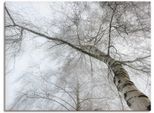 Artland Wandbild »Winter Birke«, Bäume, (1 St.), als Leinwandbild, Wandaufkleber in verschied. Grössen
