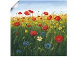 Artland Wandbild »Mohnblumen Landschaft I«, Blumenwiese, (1 St.), als Alubild, Outdoorbild, Leinwandbild, Poster in verschied. Grössen