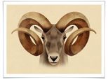 Wall-Art Poster »Urial«, Schriftzug, (1 St.), Poster ohne Bilderrahmen