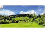Artland Wandbild »Traumhafte Landschaft im Schwarzwald«, Wiesen & Baumbilder, (1 St.), als Alubild, Outdoorbild, Leinwandbild, Wandaufkleber, versch. Grössen