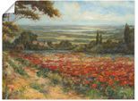 Artland Wandbild »Weg am Mohnfeld«, Wiesen & Bäume, (1 St.), als Leinwandbild, Poster in verschied. Grössen