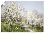 Artland Wandbild »Frühlingsblüten«, Wiesen & Bäume, (1 St.), als Leinwandbild, Poster, Wandaufkleber in verschied. Grössen