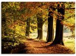 Artland Wandbild »Herbstfarben«, Bäume, (1 St.), als Alubild, Outdoorbild, Leinwandbild in verschied. Grössen