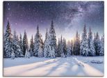 Artland Wandbild »Tannenwald im Schnee vorm Sternenhimmel«, Berge & Alpenbilder, (1 St.), als Alubild, Outdoorbild,...