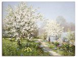 Artland Wandbild »Frühlingsblüten«, Wiesen & Bäume, (1 St.), als Leinwandbild, Poster, Wandaufkleber in verschied. Grössen