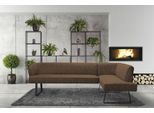 Eckbank EXXPO - SOFA FASHION "Americano", braun (cognac), B:270cm H:83cm T:197cm, Sitzbänke, Eckbank, mit Keder und Metallfüßen, Bezug in verschiedenen Qualitäten