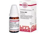 Conium LM VI Globuli 5 g