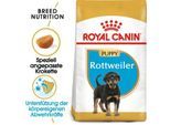 ROYAL CANIN Rottweiler Puppy 12 kg