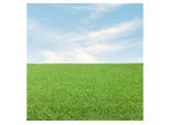 Kunstrasen Stirling, Steffensmeier, Rechteckig, 15.000 Sonnenstunden, Höhe: ca. 24 mm, Integrierte Drainage, grün