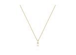 FAVS Kette 89019397