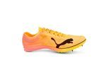 Puma Unisex Evospeed Distance Nitro Elite+ 2 bunt 36.0