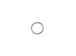 Swim & Fun O-ring for Collector/Top valve for Filter Systems