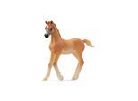 Schleich Arab foal
