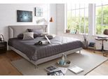 Polsterbett, grau (hellgrau), B:170cm L:210cm, Bezug Bett: Microfaser (100% Polyester);Bonnell-Federkernmatratze: Mischgewebe (51% Polyprophlen, 39% Polyester, 10% Baumwolle);Kaltschaummatratze: Frottee (100% Polyester), Bezug abnehm- und waschbar bis 60C, WESTFALIA SCHLAFKOMFORT, Betten, Polsterbett, in diversen Ausführungen
