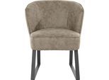 Sessel EXXPO - SOFA FASHION "Americano, Loungesessel", braun (cognac), B:66cm H:80cm T:69cm, Sessel, Sessel, mit Keder und Metallfüßen, Bezug in verschiedenen Qualitäten, 1 Stck.