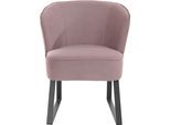 Sessel EXXPO - SOFA FASHION "Americano, Loungesessel", pink (powder pink), B:66cm H:80cm T:69cm, Sessel, Sessel, mit Keder und Metallfüßen, Bezug in verschiedenen Qualitäten, 1 Stck.
