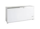 Gastro Tefcold Tiefkühltruhe FR 605 S