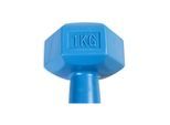 ASG Handweight 1 kg vinyl