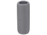DENVER Bluetooth Lautsprecher BTV-150GR, grau