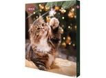 Trixie PREMIO Advent Calendar for cats 24.5 × 37 × 3.5cm
