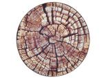 Teppich GINO FALCONE "Aurora GF-095", braun, H:5mm Ø:80cm, Polypropylen, Teppiche, Teppich, Holz Optik, ideal im Wohnzimmer & Schlafzimmer
