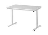 Rau ESD-Arbeitstisch Adlatus, elektrisch höhenverstellbar, 28 mm Spanplatte mit Melaminbelag, bis 150 kg, B 1250 x T 800 x H 720-1120 mm, lichtgrau