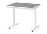 Rau Arbeitstisch Adlatus, elektrisch höhenverstellbar, 25 mm Spanplatte, Linoleumbelag, 150 kg, B 1000 x T 800 x H 720-1120 mm, hellgrau/lichtgrau