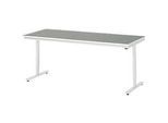Rau Arbeitstisch Adlatus, elektrisch höhenverstellbar, 25 mm Spanplatte, Linoleumbelag, 150 kg, B 2000 x T 800 x H 720-1120 mm, hellgrau/lichtgrau