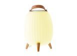LED Laterne »ezilight Ambiant M,«