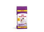 ROYAL CANIN Giant Adult 15+3 kg gratis
