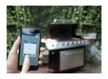 Bratenthermometer »CHARCOAL COMPANION«