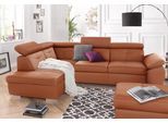 Ecksofa EXXPO - SOFA FASHION "Spring, super bequem und komfortabel mit Armteil- und Kopfteilfunktion", braun (cognac), B:274cm H:81cm T:206cm, NaturLEDER (echtes Rindsleder) in Sitz und Rücken. Korpus in passendem Kunstleder SOFTLUX bezogen;Luxus-Microfaser (100% Polyester);Struktur ( 100% Polyester), Sofas, Ecksofa, wahlweise mit Bettfunktion und Bettkasten, L-Form